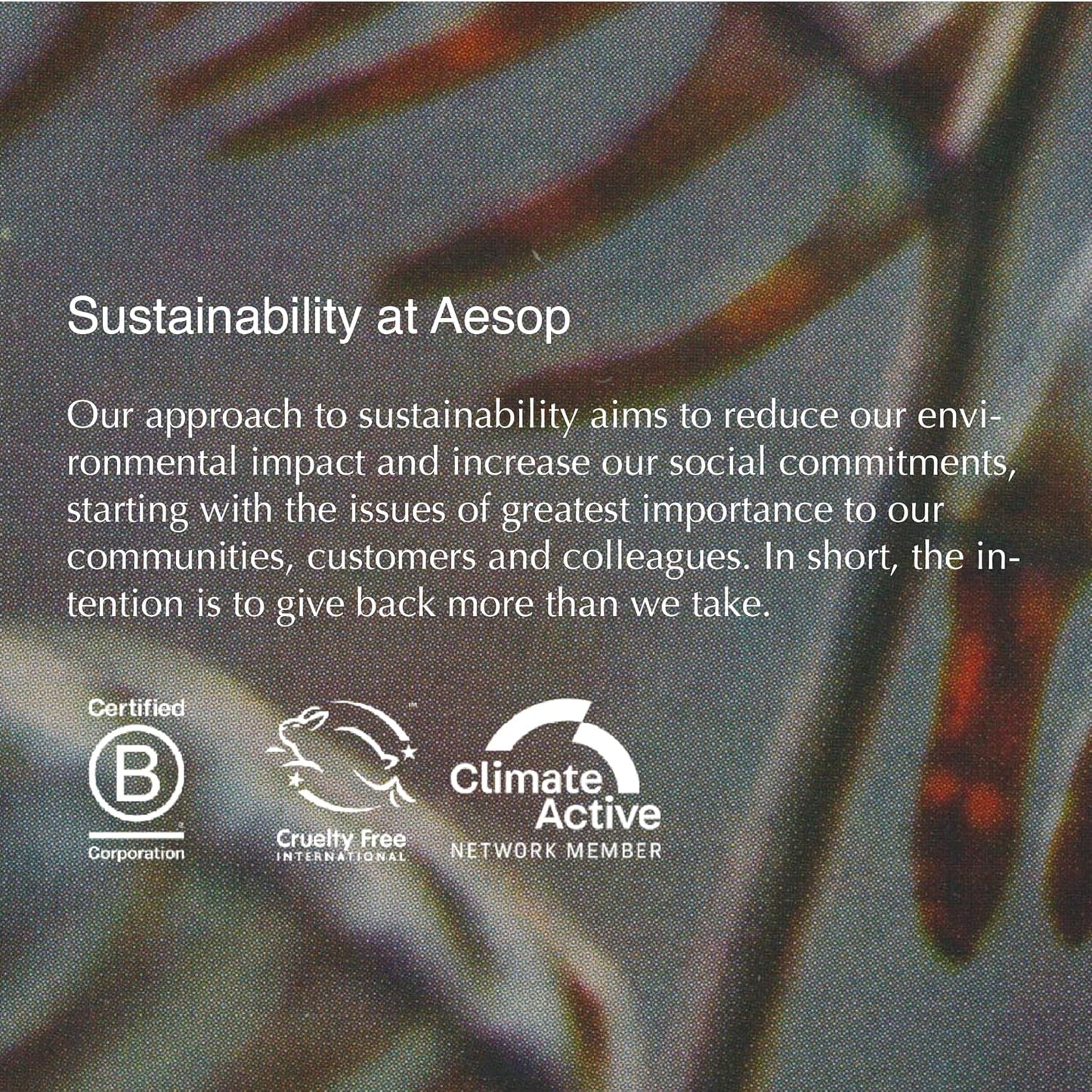 Aesop Lucent Facial Concentrate | Lightweight Vitamin C Facial Serum for Replenished, Hydrated, and Balanced Skin | 2.1 Oz