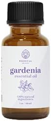 Gardenia Essential Oil - Premium Grade Essential Oil | Delicate Sweet Scent | for Aromatherapy, Soaps, Lotions, & Candles | Vegan & Cruelty Free (1 oz.)