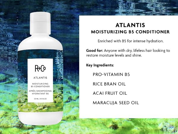 R+Co Atlantis Moisturizing B5 Shampoo + Conditioner + High Dive Deluxe Sample | Vegan + Cruelty-Free | 2 x 8.5 Oz + .5 Oz Deluxe Sample