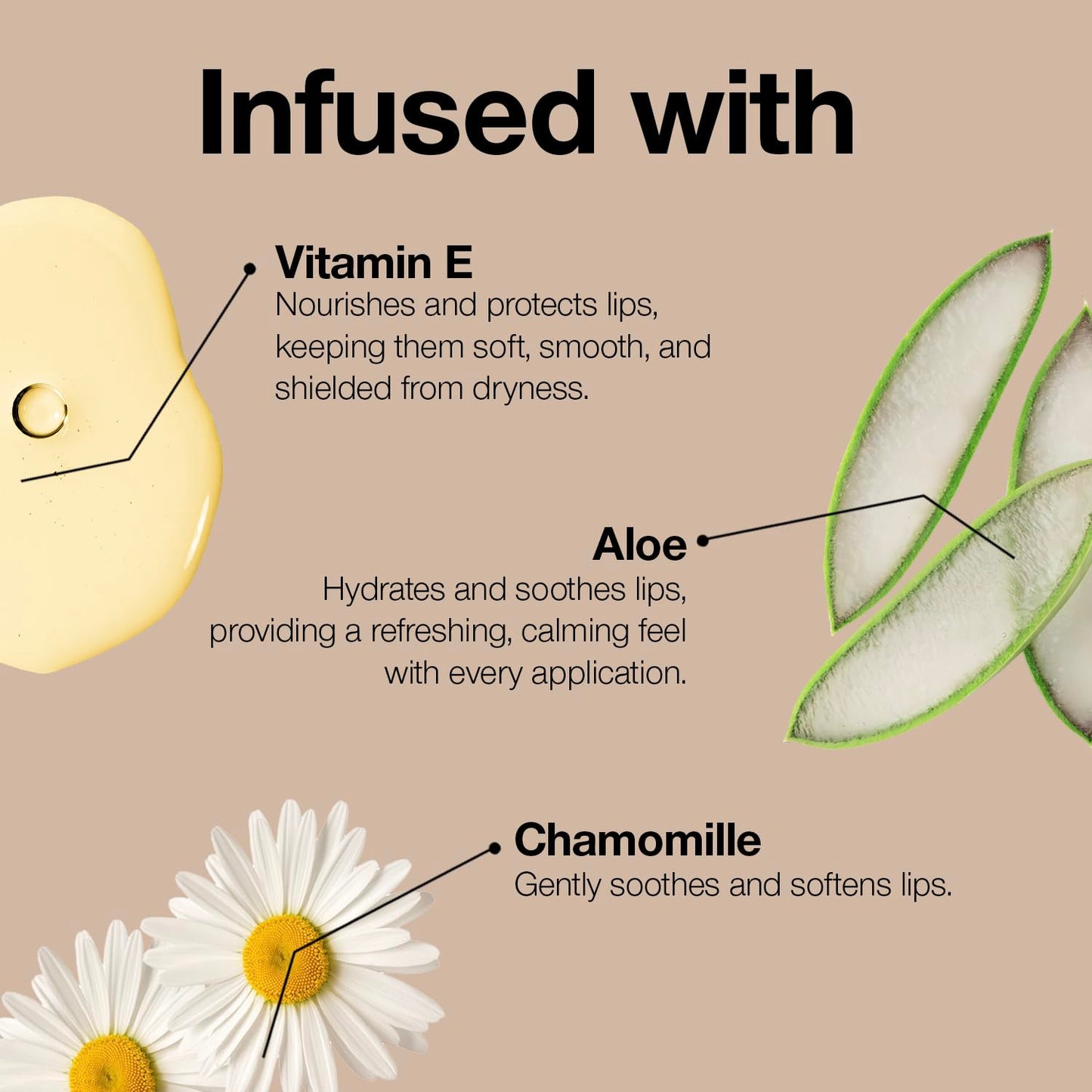 Palladio Retractable Waterproof Lip Liner High Pigmented and Creamy Color Slim Twist Up Smudge Proof Formula with Long Lasting All Day Wear No Sharpener Required, Black Berry