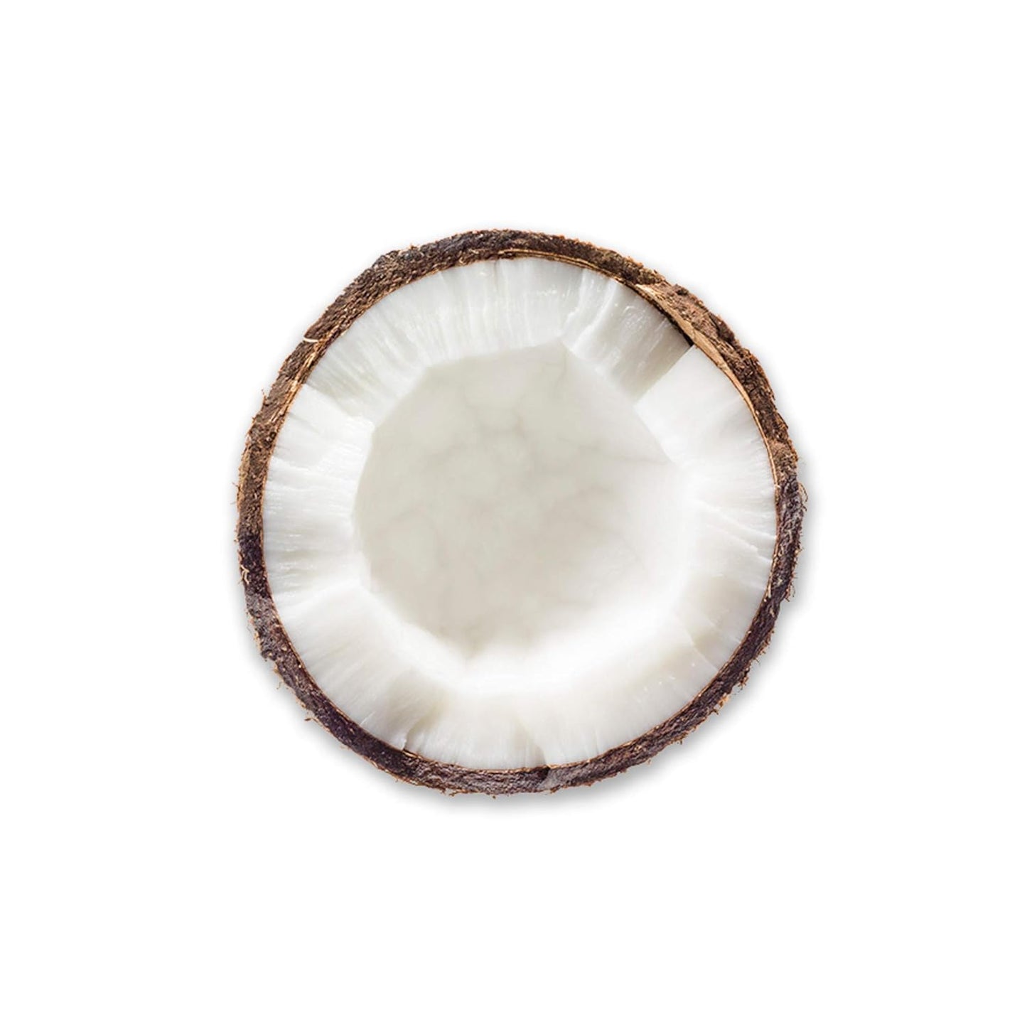 wet n wild Photo Focus Primer Water, Coconut