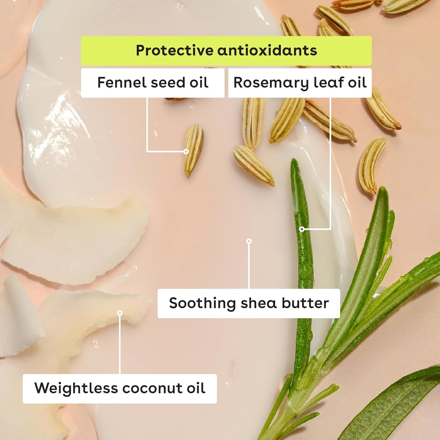 eos 100% Natural & Organic Lip Balm Trio- Vanilla Bean, Sweet Mint, & Strawberry Sorbet, Made for Sensitive Skin, Lip Care Products, 0.14 oz, 3-Pack