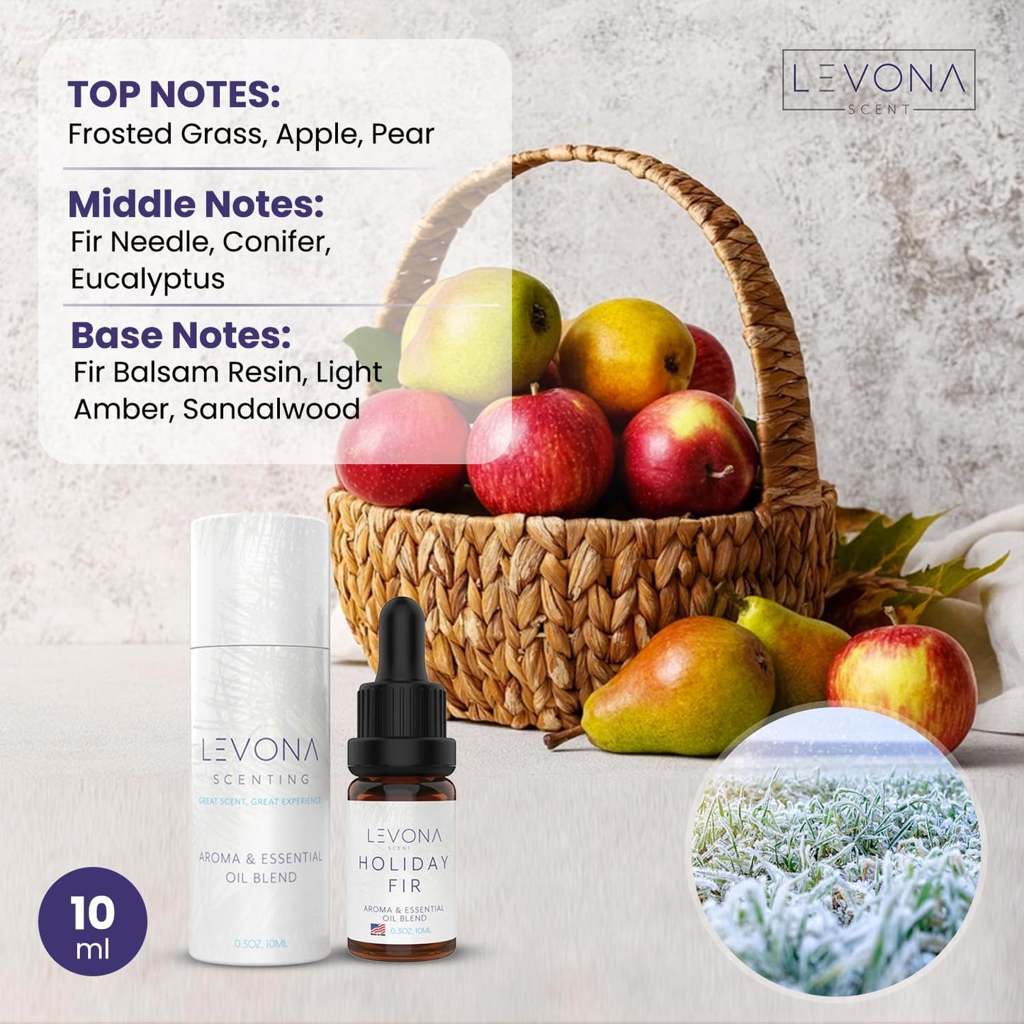 Levona Scent Christmas Essential Oils for Diffuser: Holiday Fir Essential Oil for Diffusers for Home - Essential Oils with Notes of Sandalwood & Amber Oil - Winter Fir and Balsam Fragrance - 10Ml