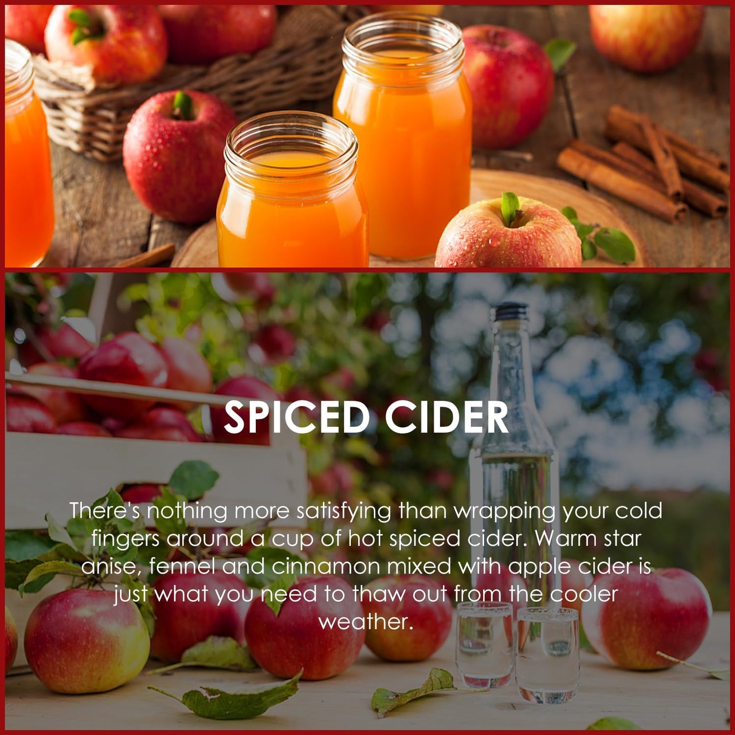 SALUBRITO Spiced Cider Essential Oil, 4 Fl.Oz (120ml) Pure & Natural Fragrance Oils, Winter Scented Oil for Diffuser, Great for Skin, Massage, Candle & Soap Making, Strong Scented