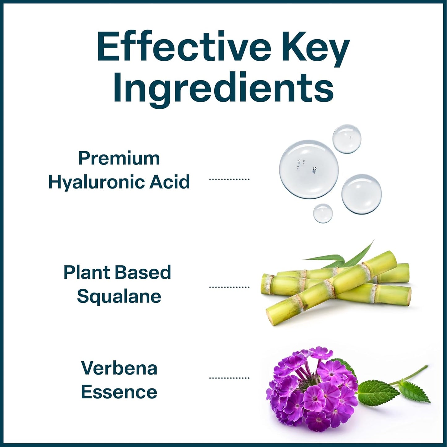 QRxLabs Plant-Based Squalane Moisturizer Cream - 2 fl oz (60 mL) - Face & Body Hyaluronic Acid Moisturizer