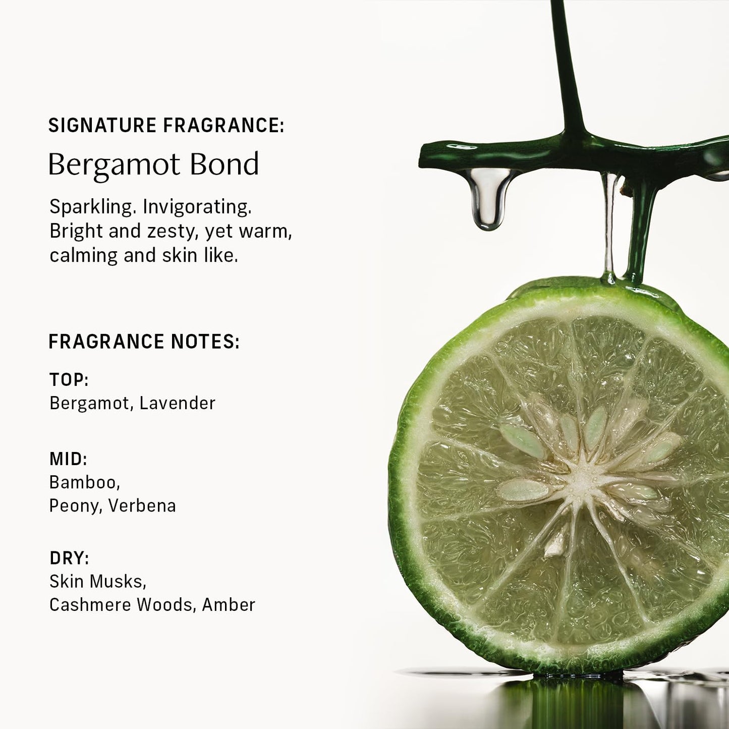 Sensorial Body Wash. Bergamot Bond Hydrating Cleanser with Moisture Locking Multi-Oil Complex, Sodium PCA and Glycerin. Nourishing Shower Gel for Women and Men, 16.5 Fl Oz Luxury Bodywash