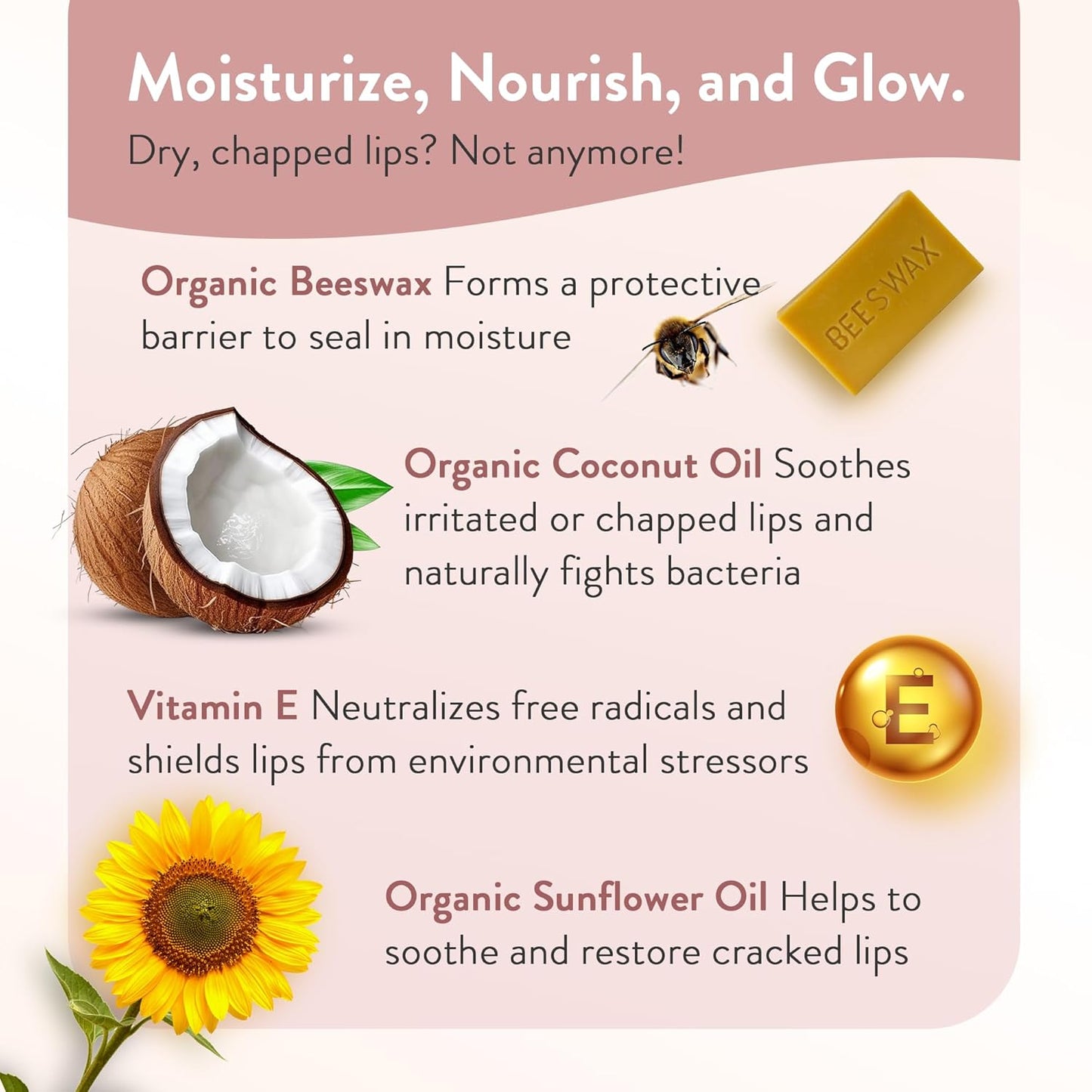 Moroccan Magic Organic Elderberry & Manuka Honey Lip Balm 3 Pack | Ultra-Hydrating Argan Oil Lip Moisturizer + Vitamin E | Natural Chapstick for Dry Lips | Smooth, Non-Toxic | Organic Lip Balm