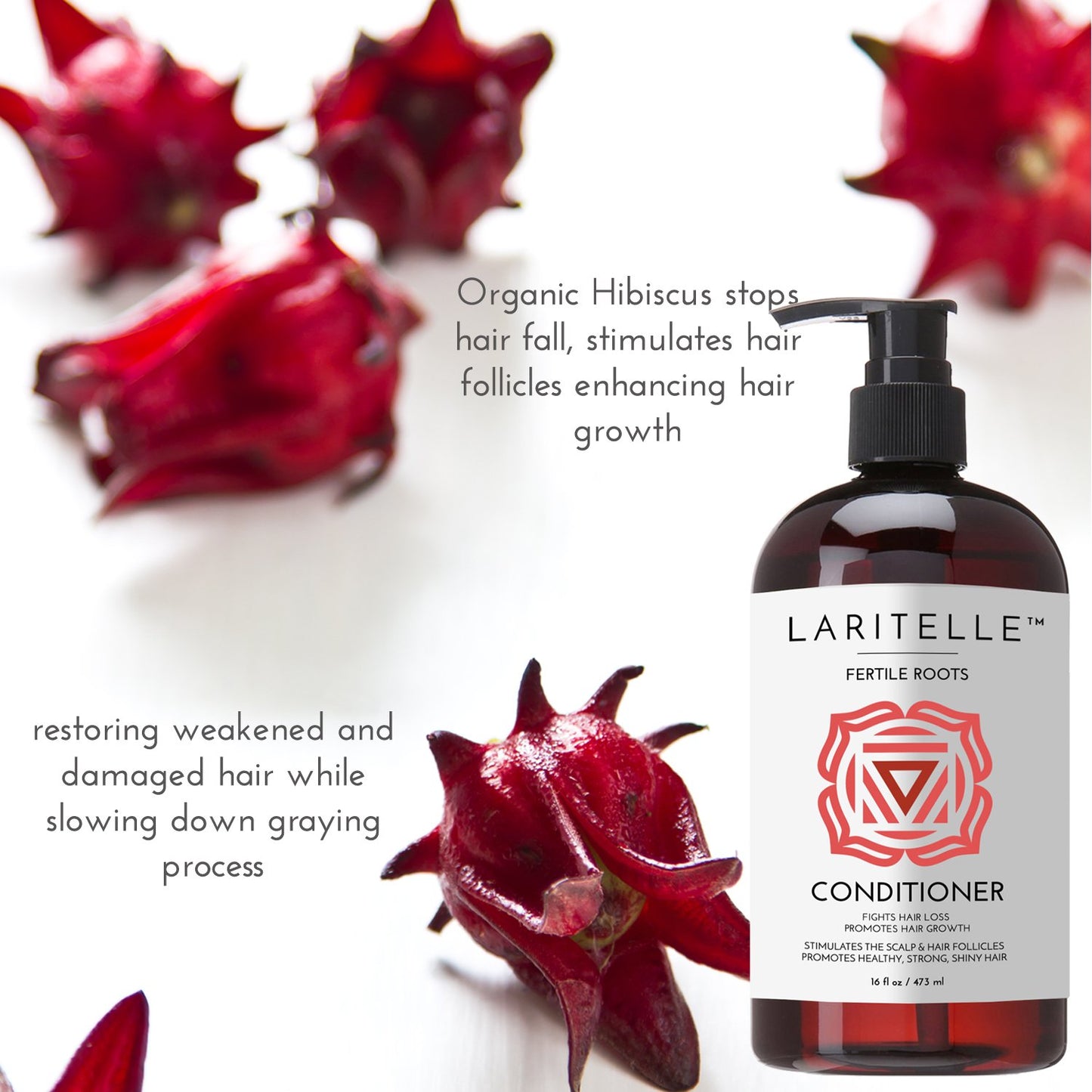 Organic Shampoo 17 oz + Conditioner 16 oz | Prevents Hair Loss, Promotes Hair Growth | Ayurvedic Herbs, Lavender, Ginger & Rosemary | NO GMO, Sulfates, Gluten, Alcohol, Parabens, Phthalates