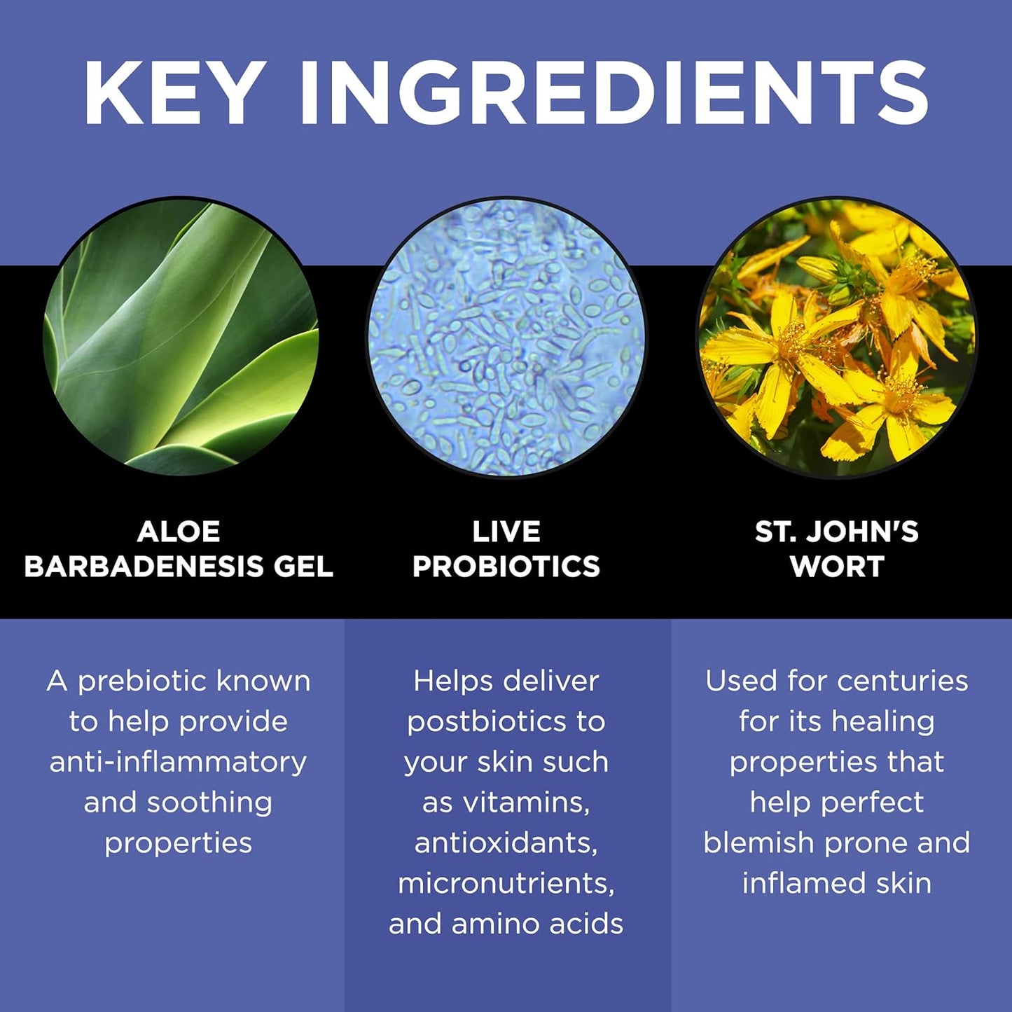 3-Step Skin Care Kit – Face Cleanser, Probiotic Serum & Moisturizer – Ultimate Recipe for Balanced, Glowing, Hydrated Skin – Perfect for All Skin Types – Travel Size – Vegan & Cruelty-Free