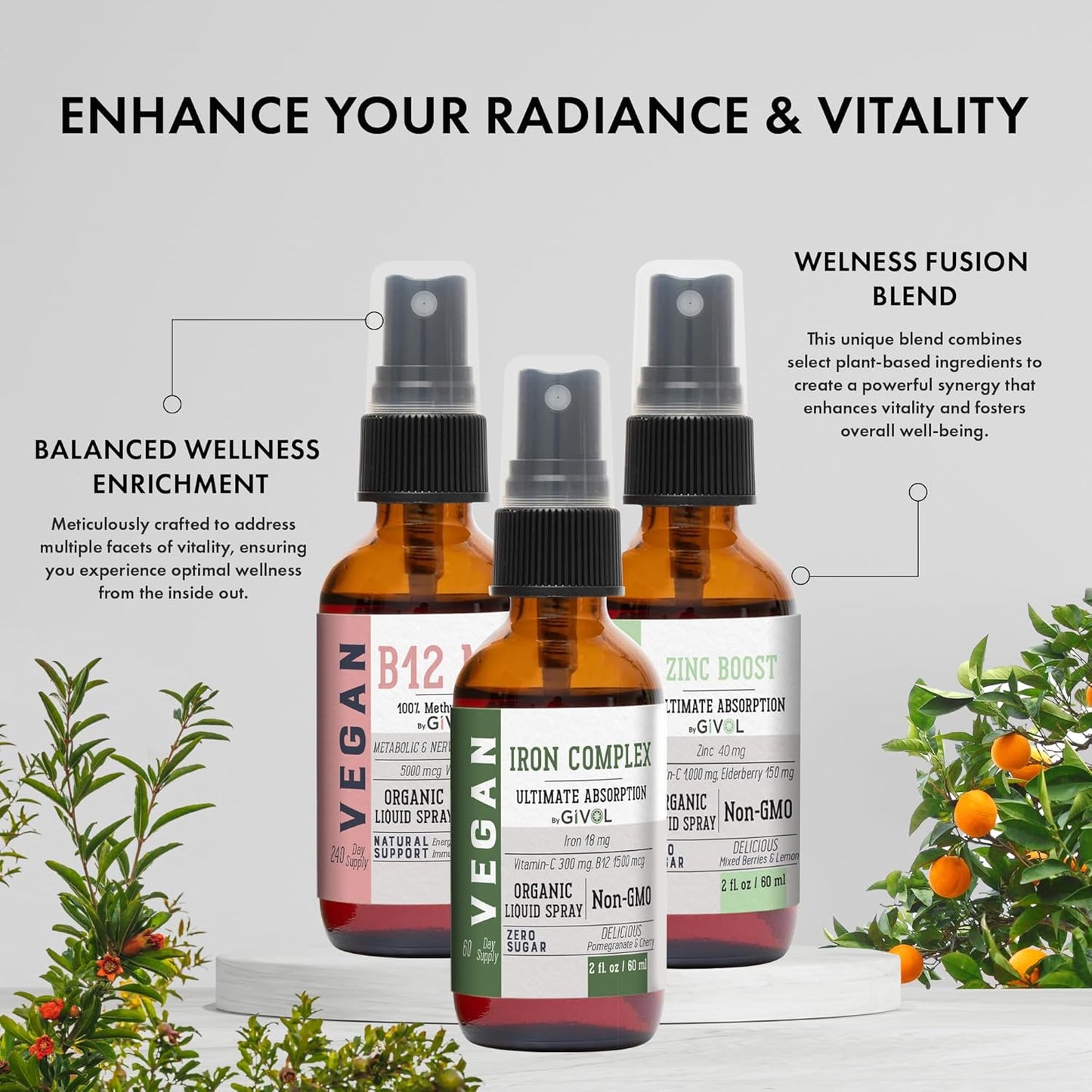 Iron Support Spray Bundle Liquid Vitamin B12 Methylcobalamin, Zinc Picolinate, and Bisglycinate | Non-GMO, Gluten-Free, Sugar-Free Iron Supplement | 2 Fl Oz Each | 360 Days Supply