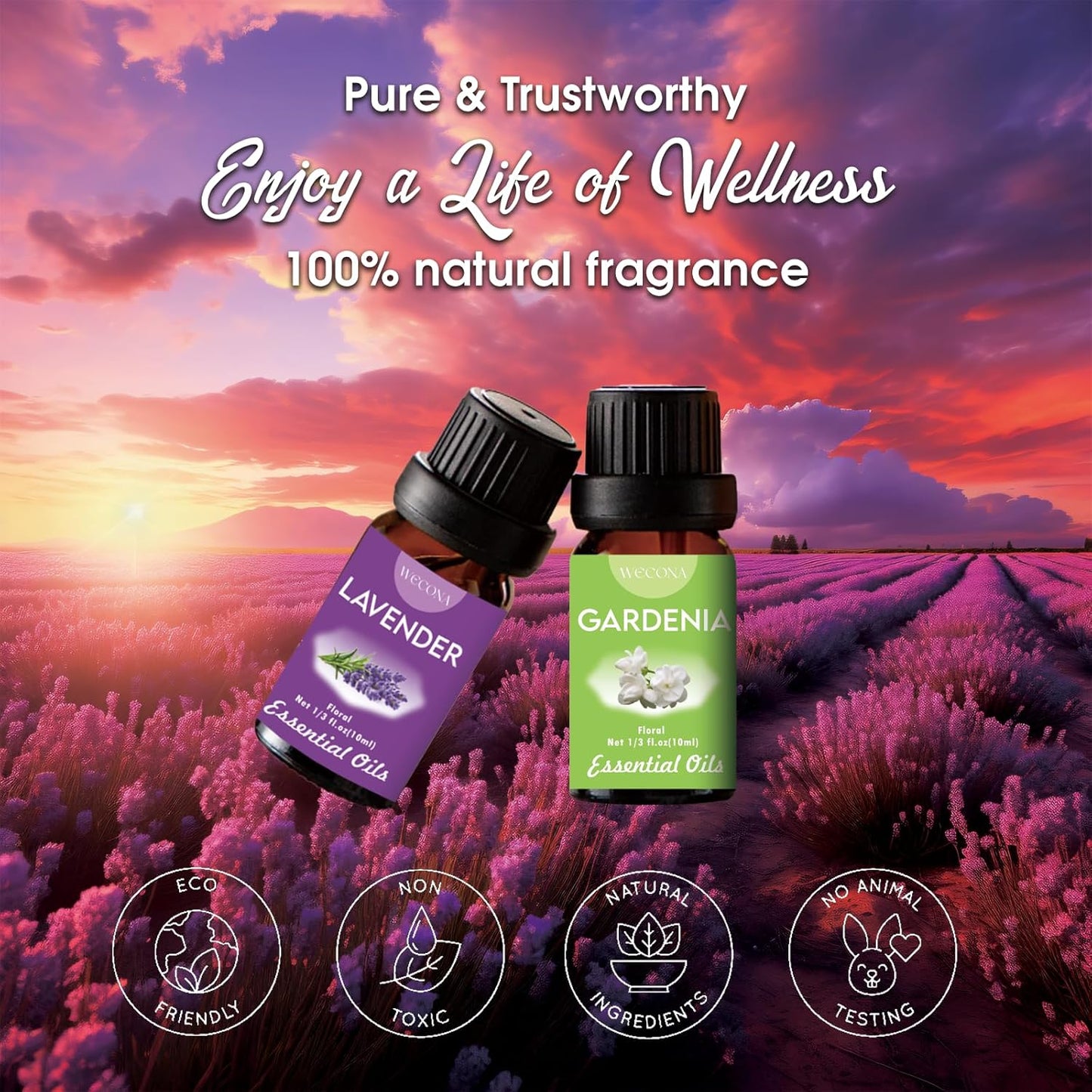 Floral Essential Oils Set for Diffusers & Candle Making - 6x10ml Natural Botanical Blends with Rose, Lavender, Lilac, Jasmine, Gardenia, Cherry Blossom Scents