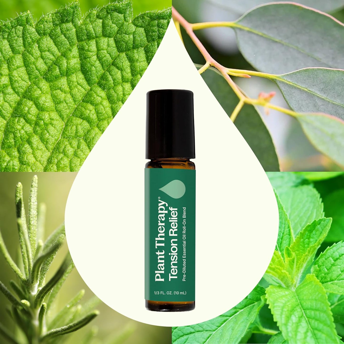 Plant Therapy Tension Relief Essential Oil Blend Pre-Diluted Roll-On 10 mL (1/3 oz) 100% Pure, Therapeutic Grade Essential Oils Diluted in Fractionated Coconut Oil