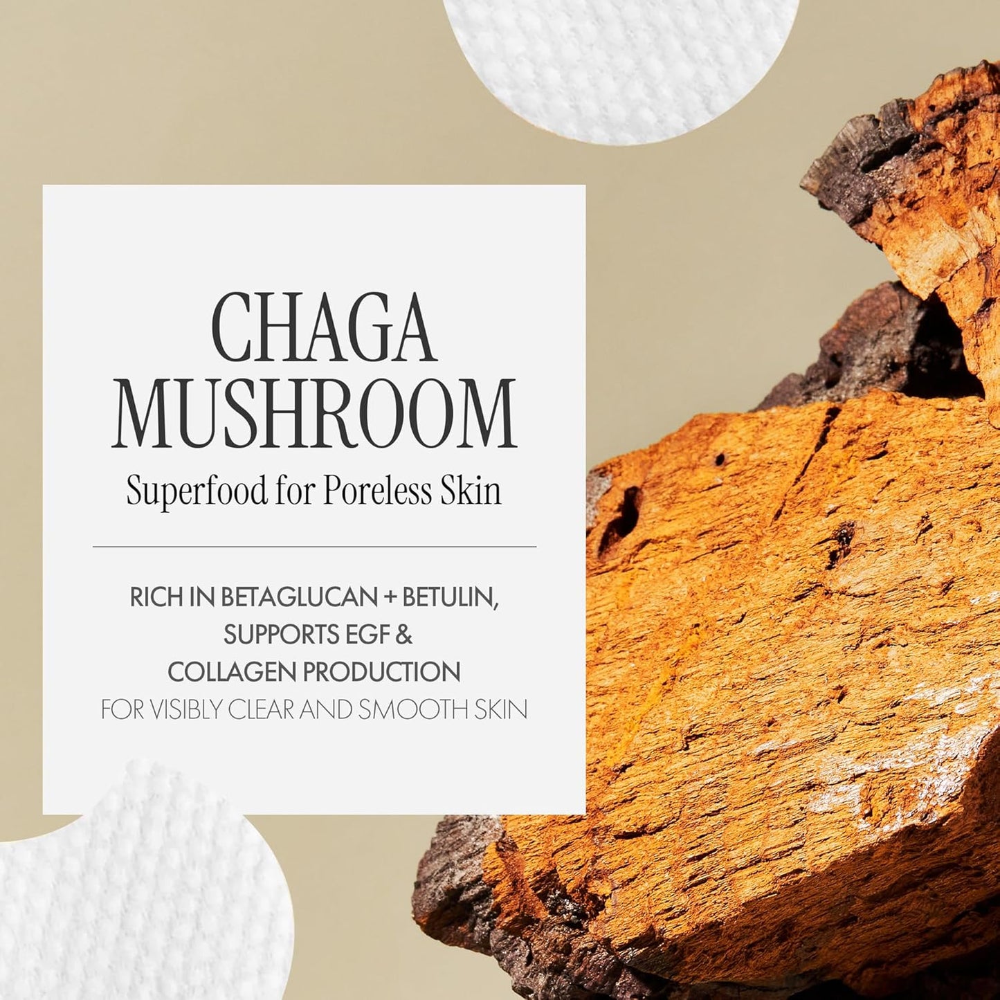 Chaga Mushroom Biome Pore Clearing Pad 70 Sheets | Pore-Smoothing Facial Cleansing Pads