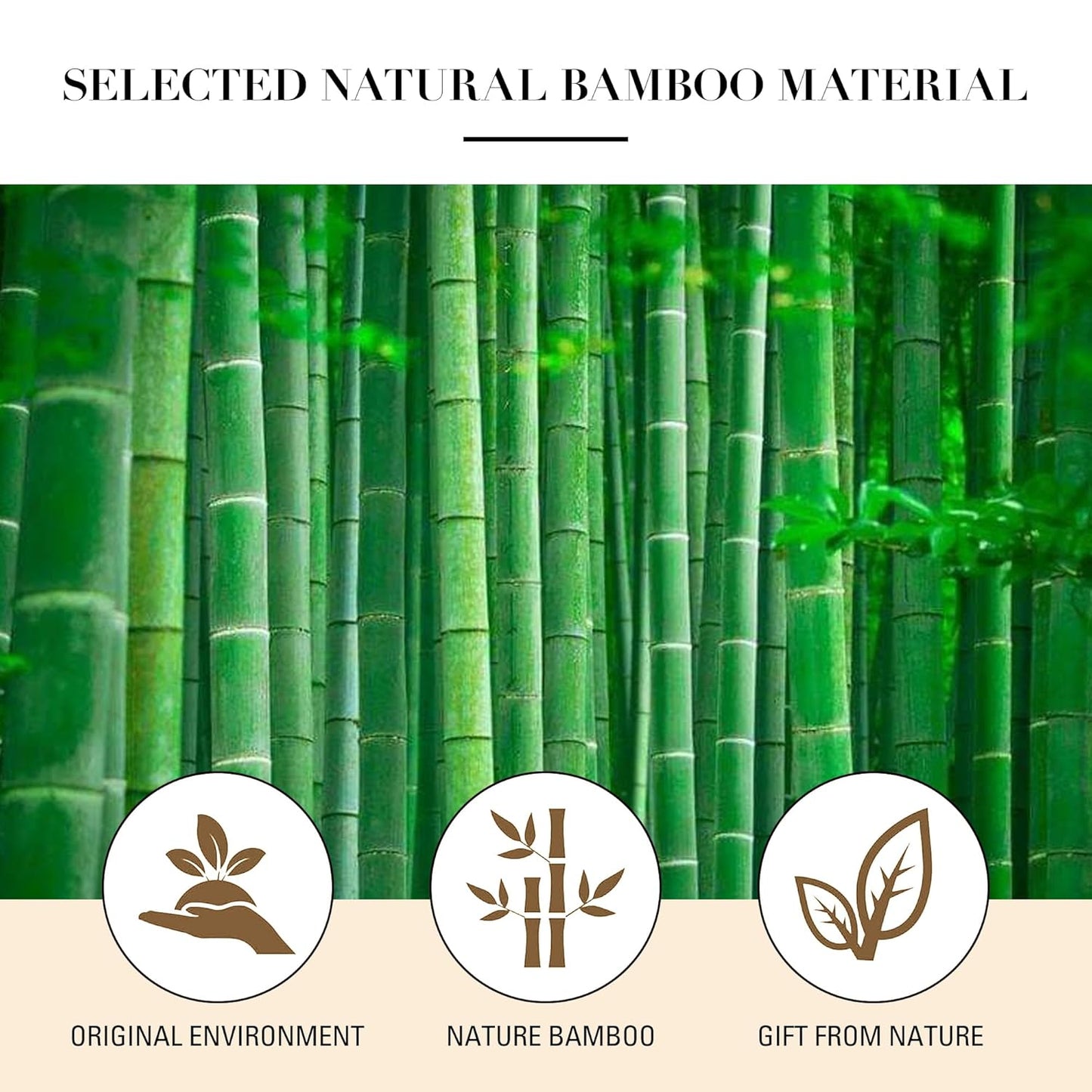 Bamboo Paddle Hairbrush with Steel Bristles for Anti-Static Detangling & Scalp Massage – Wooden Handle Brush for Hair Growth, All Hair Types