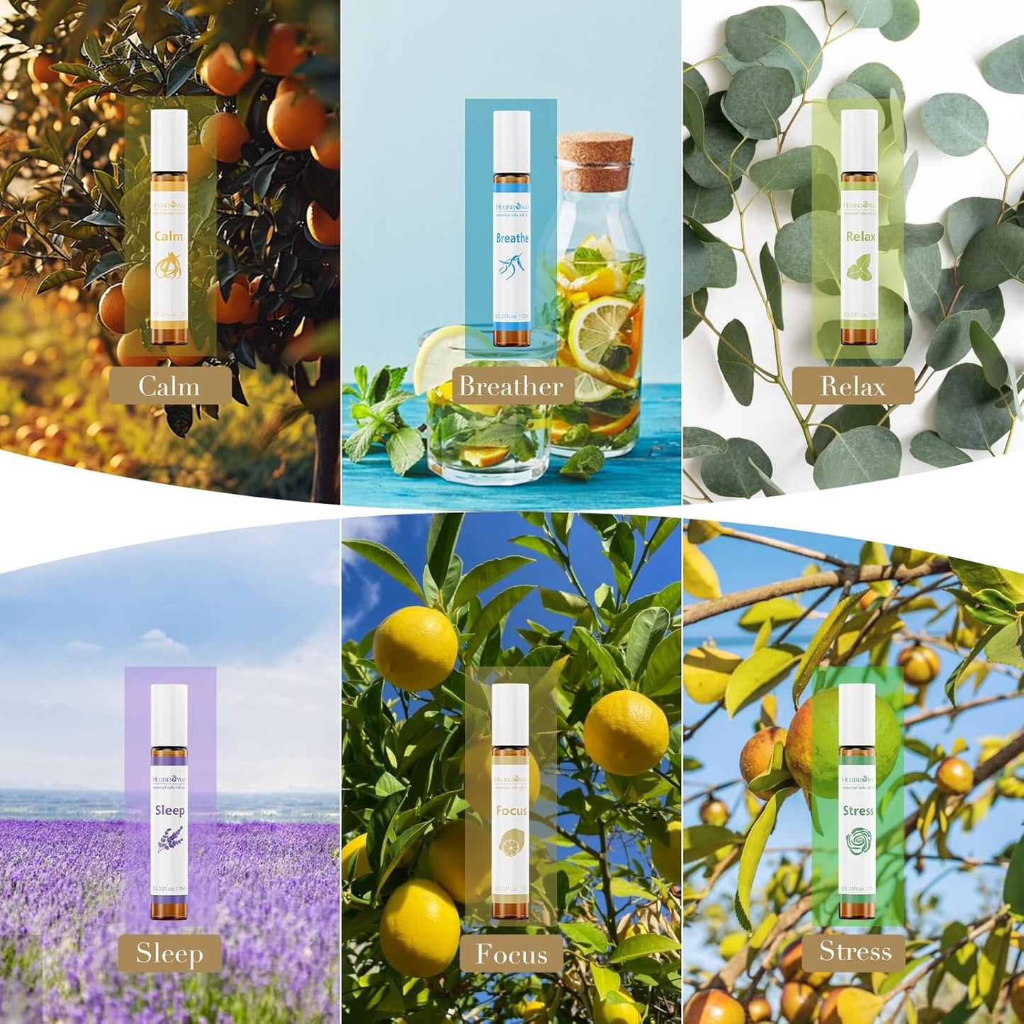 Relaxation Aromatherapy Essential Oil Roll On Gift for Women, Natural & Pure with Travel Size Roller Ball Bottle 0.33 Fl.oz. Each