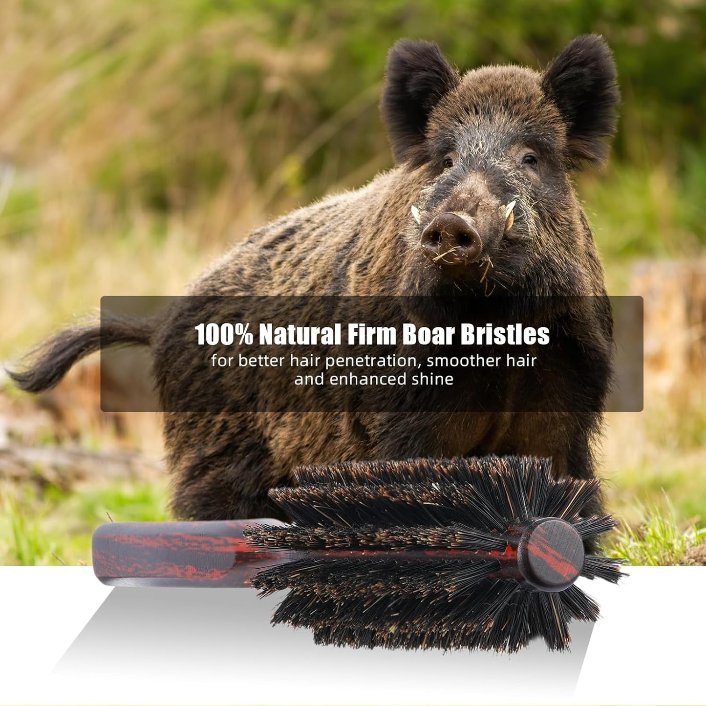 PERFEHAIR Soft Boar Bristle Round Brush for Fine, Thin Hair or Beards - 1.3 inch for Drying, Styling, Curling, Adding Volume