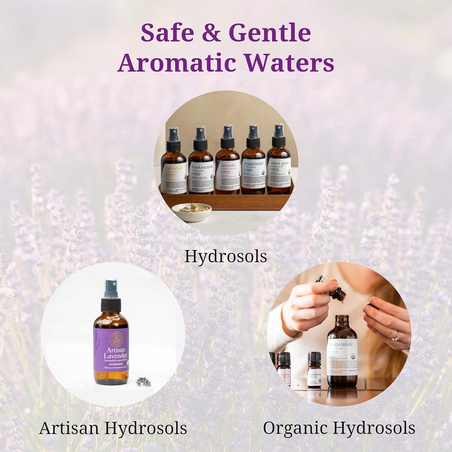 Aromatics International Carrot Seed Hydrosol 100ml | Gentle Aromatic Mist for Daily Use