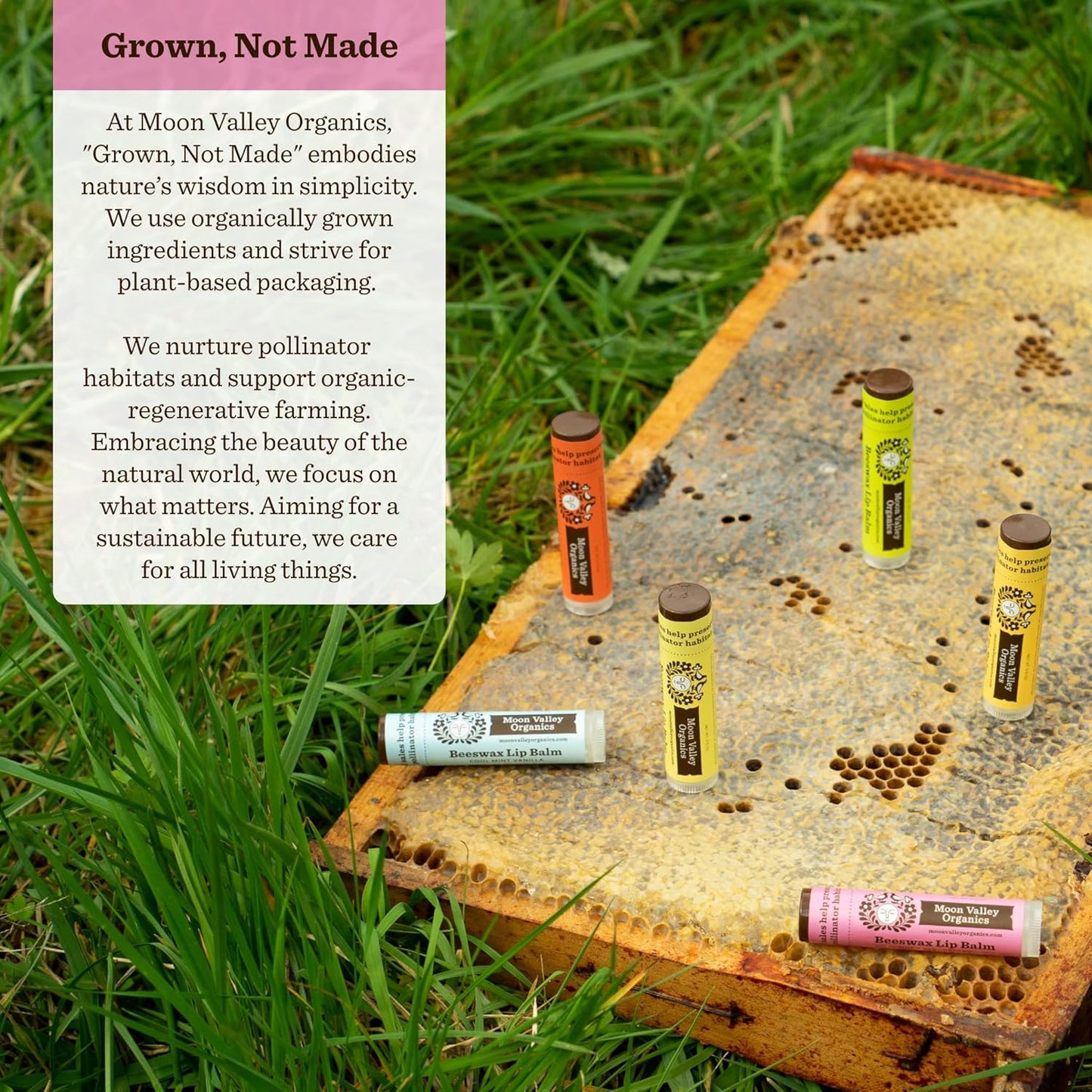 MOON VALLEY ORGANICS Organic Herbal Lip Balm Blackberry, 0.15 OZ