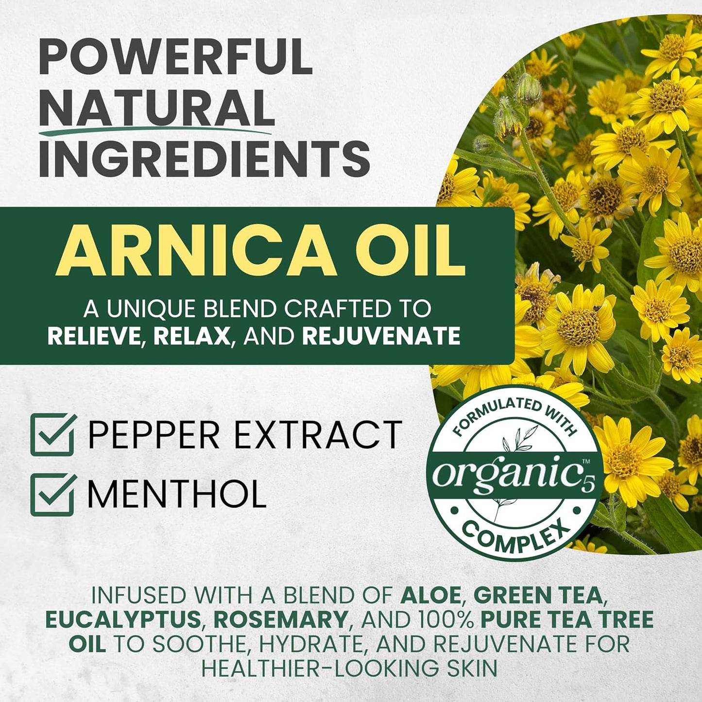 Sore Muscle Massage Oil for Massage Therapy with Arnica, Eucalyptus & Tea Tree Oil Blend for Deep Muscle Relief, Recovery, Softens Skin & Anti-Cellulite Massage for Professional & Home Use, 2-Pack