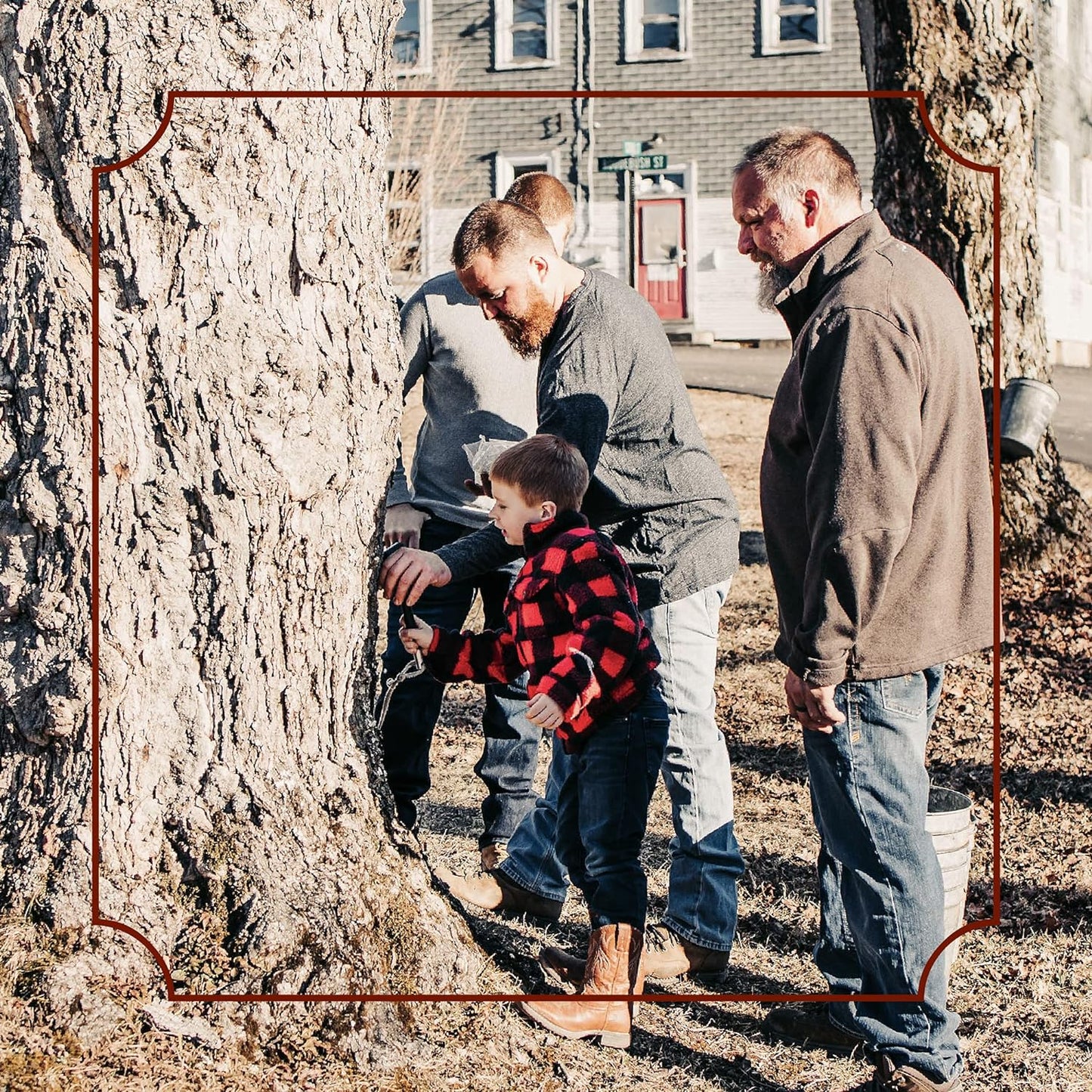 Frost Ridge Maple Farm, Organic Maple Cream, Grade A, One Pound (16 oz)